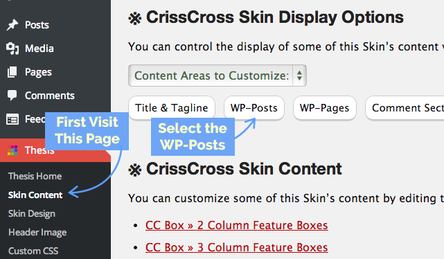 WordPress Post Options