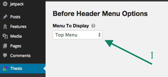 Select Menu