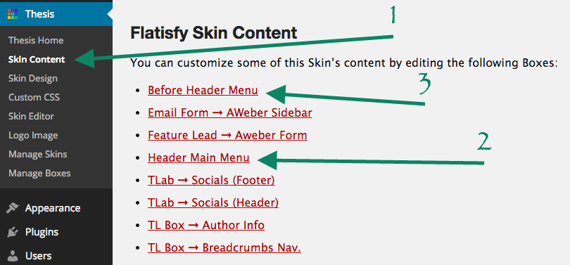Skin Content Options